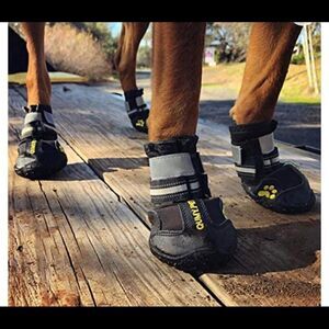 NWT Qumy Per Boots 